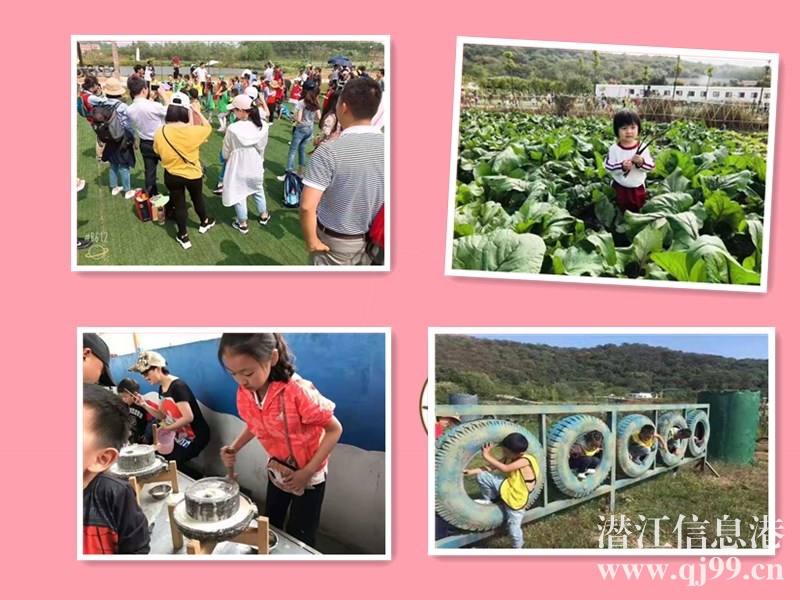 江夏秋季學(xué)生出游有家景點(diǎn)背景驚人早鳥速度多種類型快來種草